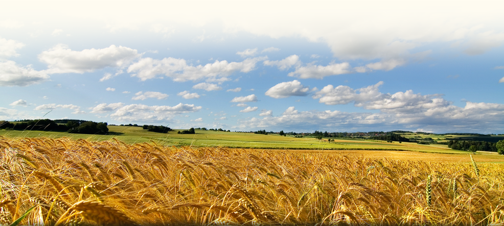 Agro Kunčina